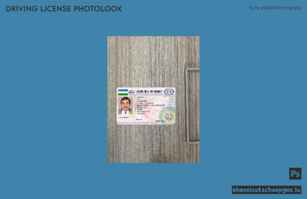 Usbekischer Führerschein 2017-heute: Beispielansicht der Fotos